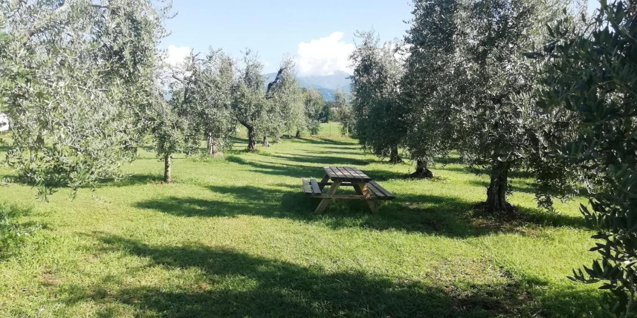 Agriturismo Fioralba Polpenazze del Garda Exterior photo